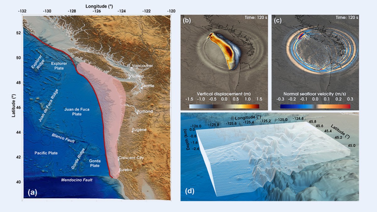 LLNL develops system for real-time tsunami forecasting using El