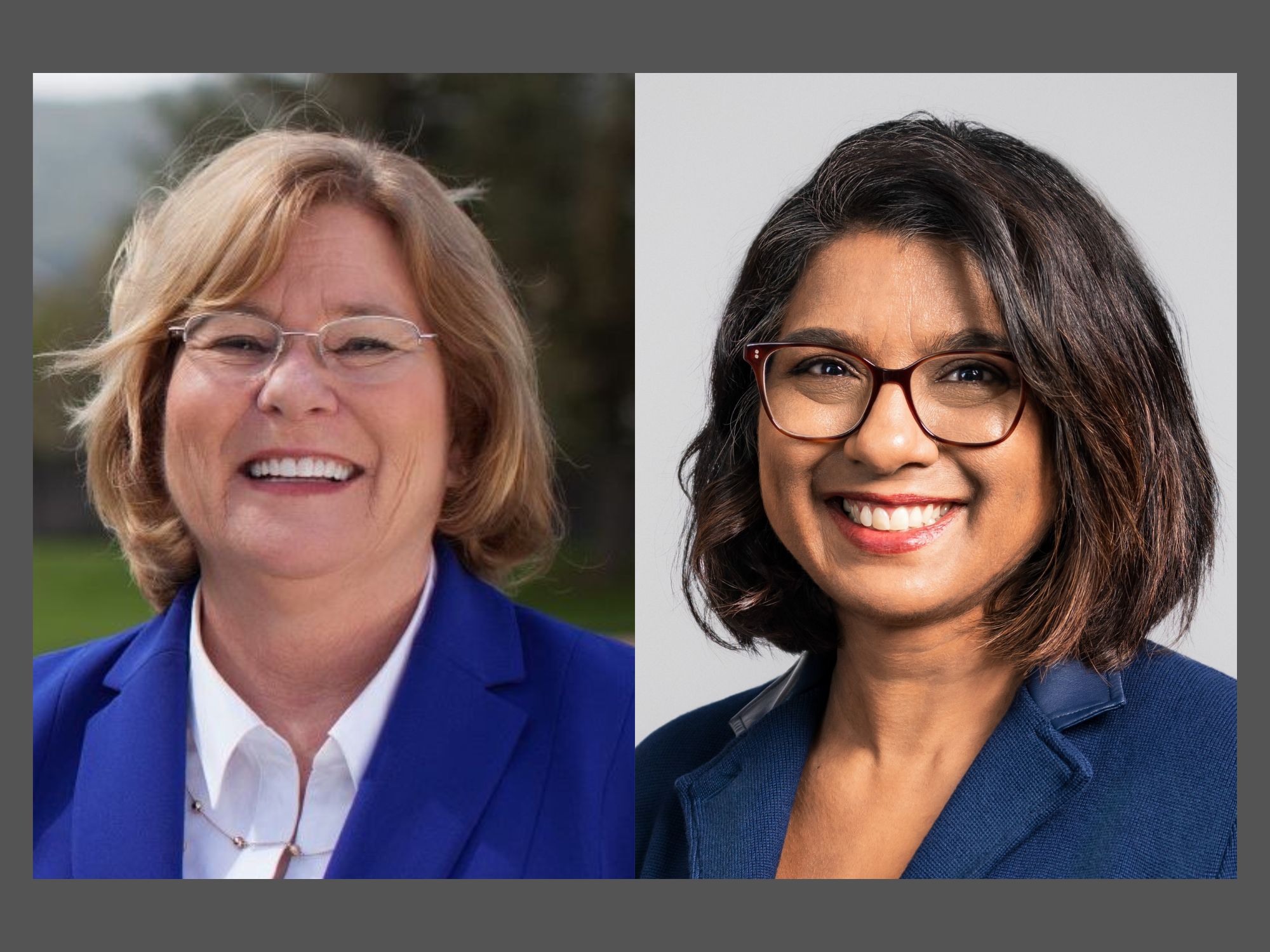 Cook-Kallio facing Dublin challenger Shanbhogue for Area 7 county Board of Education seat