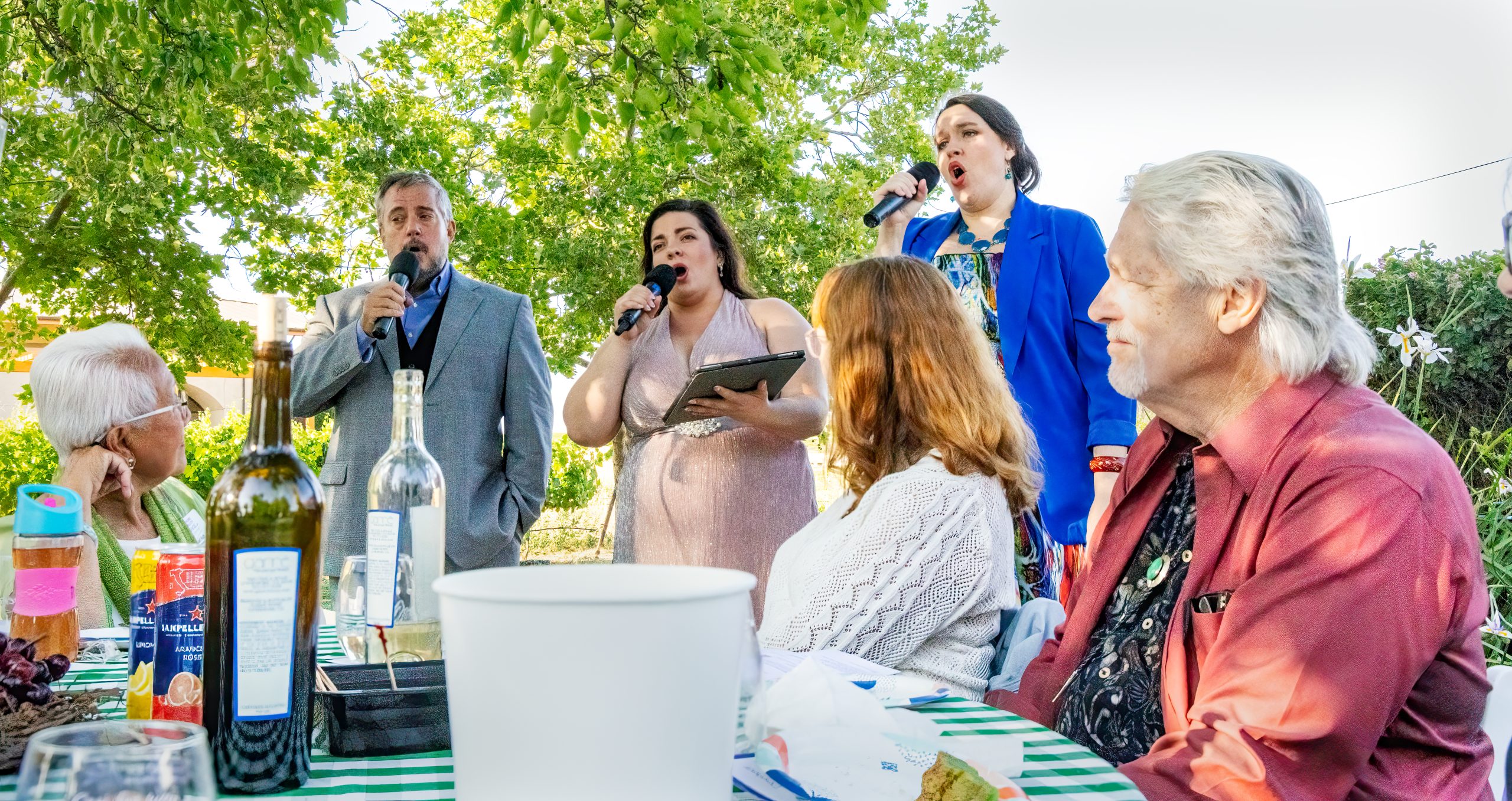 Opera in the Vineyard arrives twice this summer