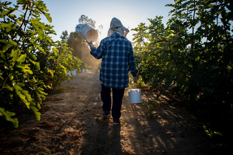 David Valadao lost in the last anti-Trump blue wave. Will farmers help him win this time?