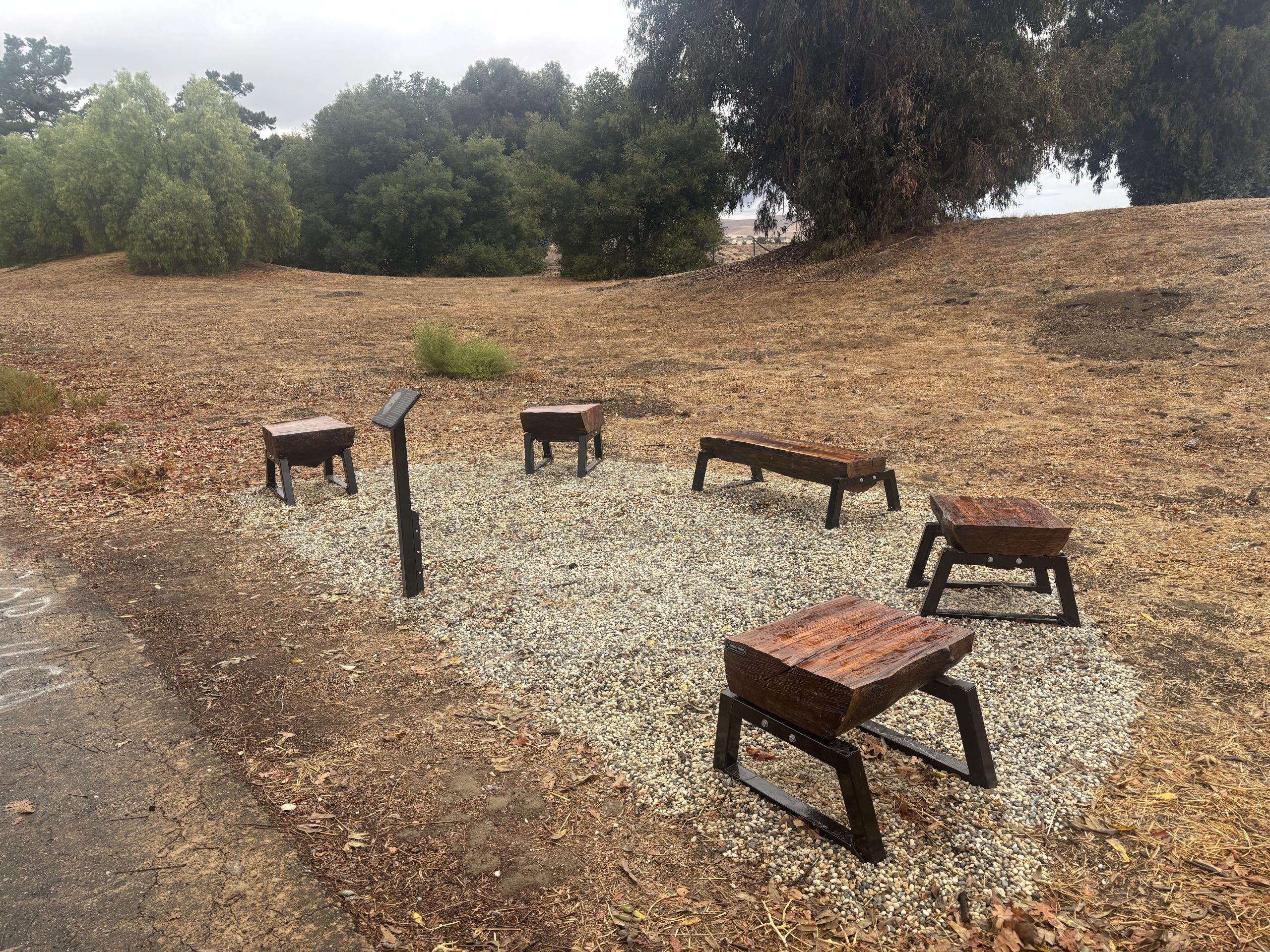Pleasanton Eagle Scout turns old walnut tree into community benches
